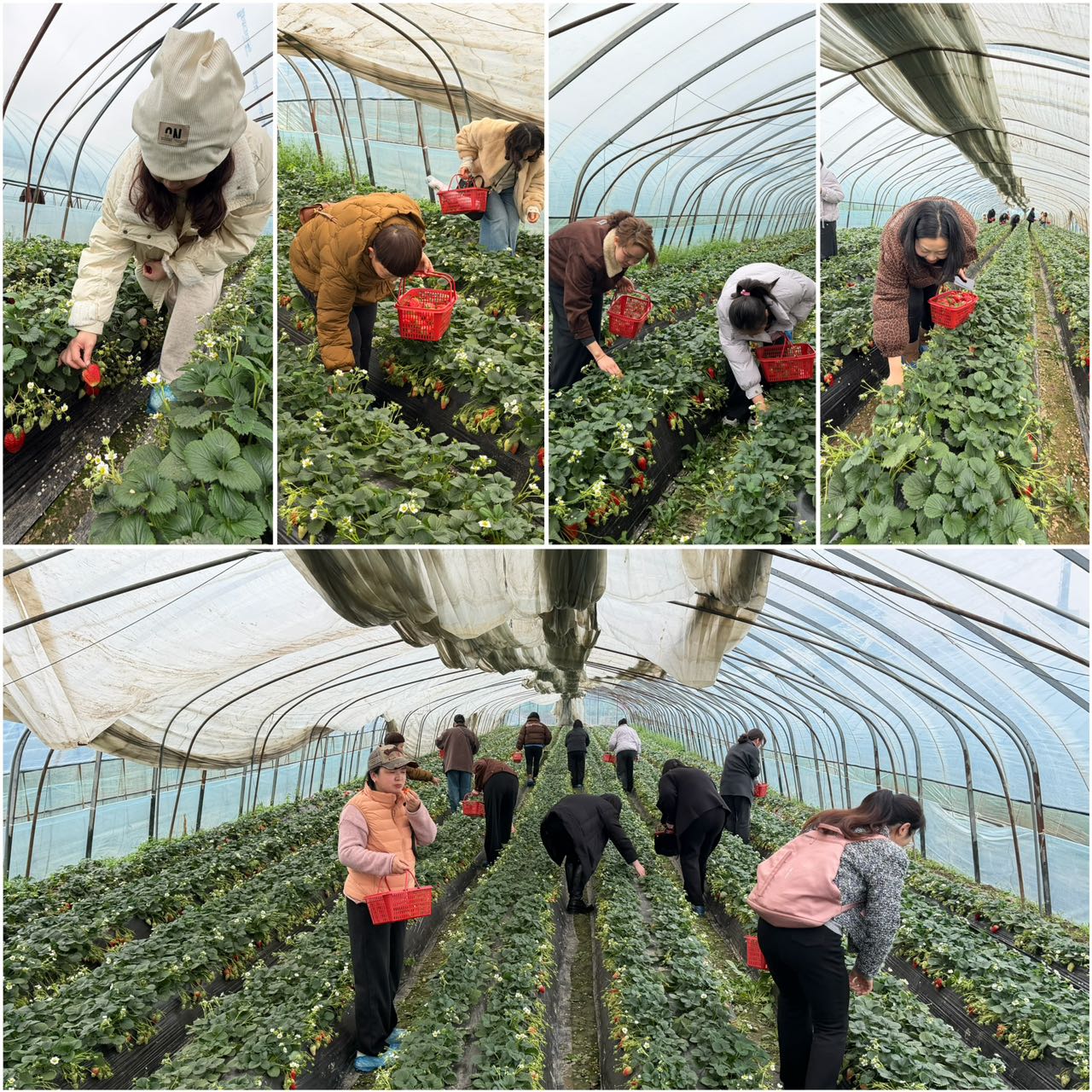 6de8281738b7b1ca03932834eaeedadb.jpg 6de8281738b7b1ca03932834eaeedadb.jpg